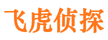 张湾外遇调查取证